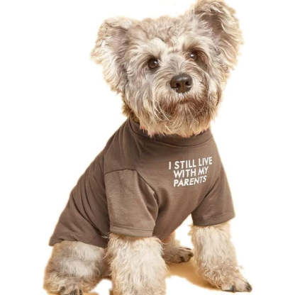 Breathable Soft Dog Costume Pet Dogs Cats, Pet Pullover Jumper