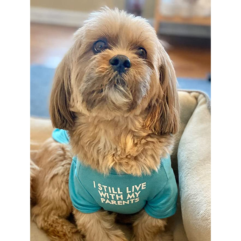 Breathable Soft Dog Costume Pet Dogs Cats, Pet Pullover Jumper-Paw Print Pad