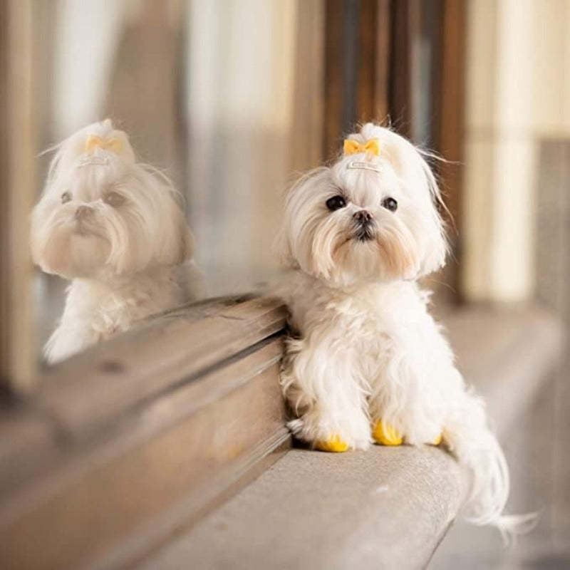 50 Pcs Dog Bows With Rubber Bands That Won’t Pull Your Dog’s Hair-Paw Print Pad