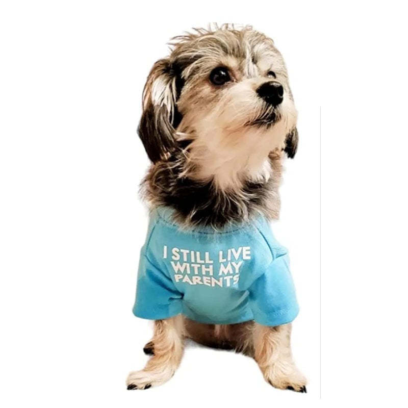 Breathable Soft Dog Costume Pet Dogs Cats, Pet Pullover Jumper-Paw Print Pad