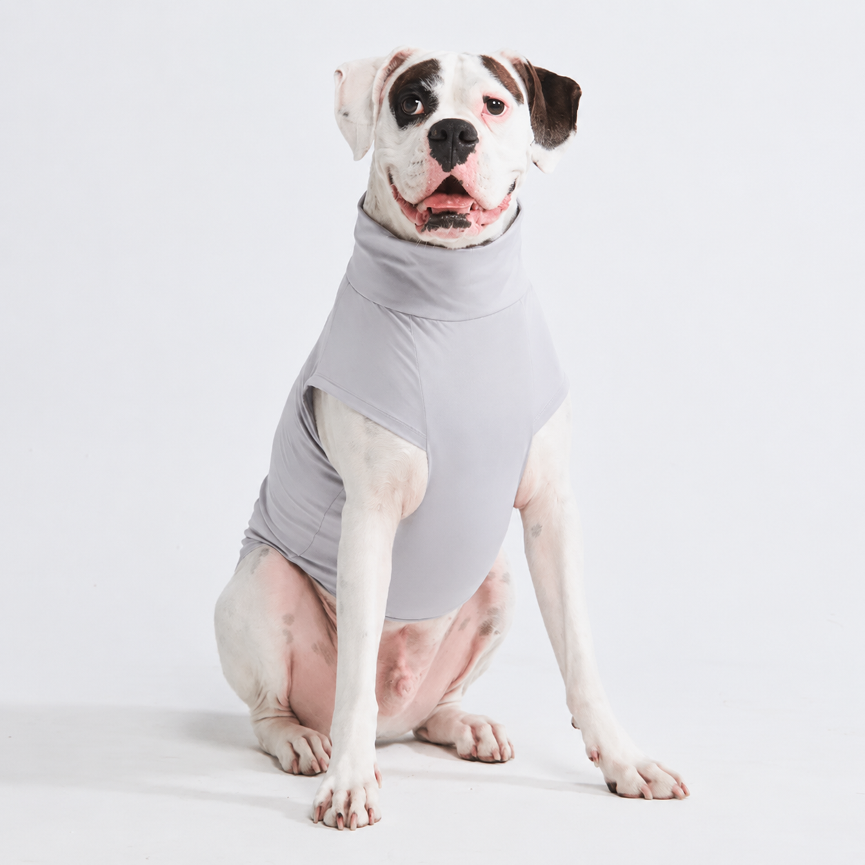 Set Of 2 Sunblock Quick Dry Soft Stretchy Lightweight T Shirts For Dogs
