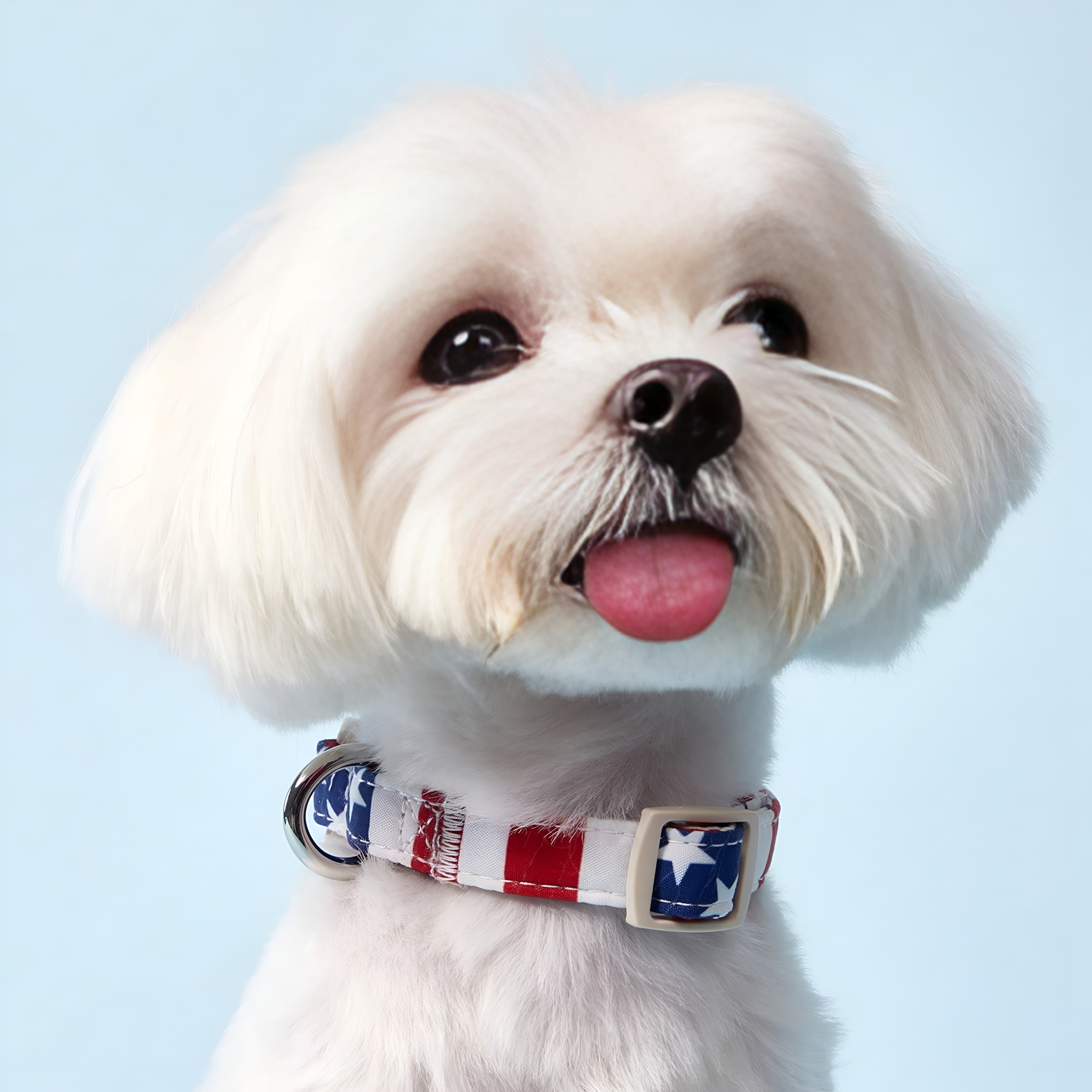 Adjustable American Flag Design Collar With Stripe And Star Pattern