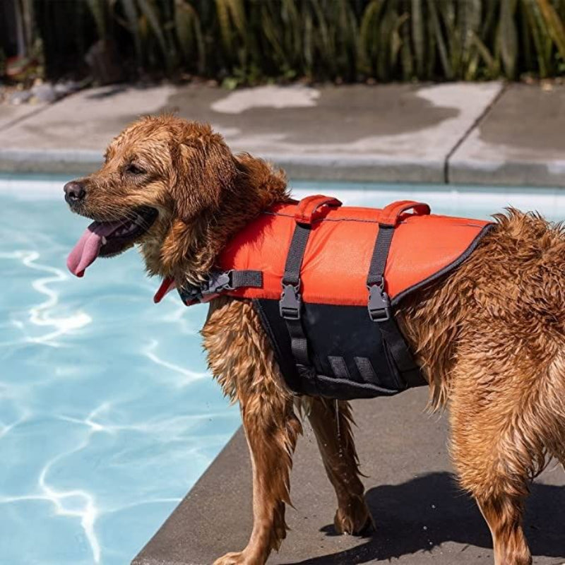 Splash Orange Dog Life Jacket, Small-Paw Print Pad