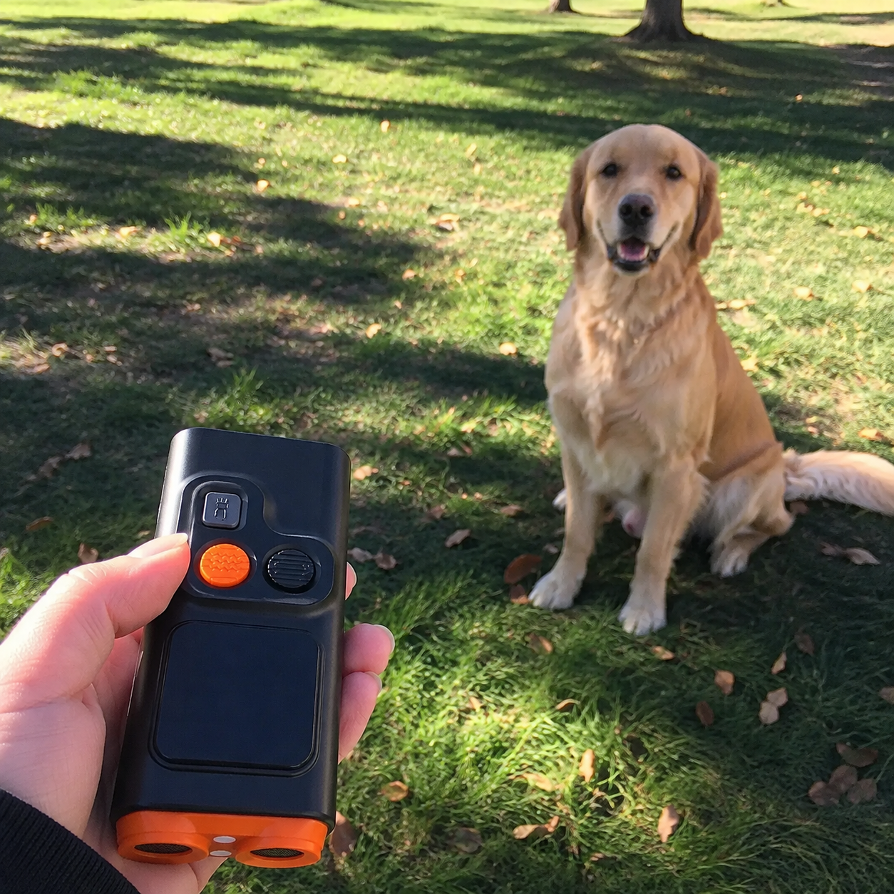 USB Rechargeable Dog Training Tool With LED Flashlight And HD Display