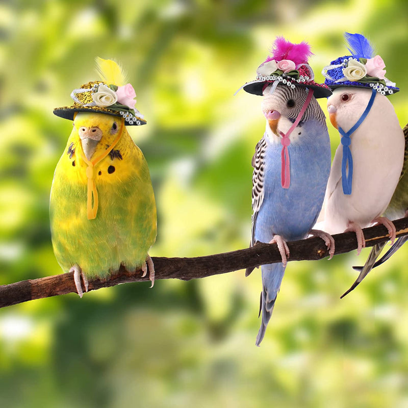 Chicken Hats For Hens Tiny Pets Funny Halloween Accessories Feather Top Hat With Adjustable Elastic Chin Strap-Paw Print Pad