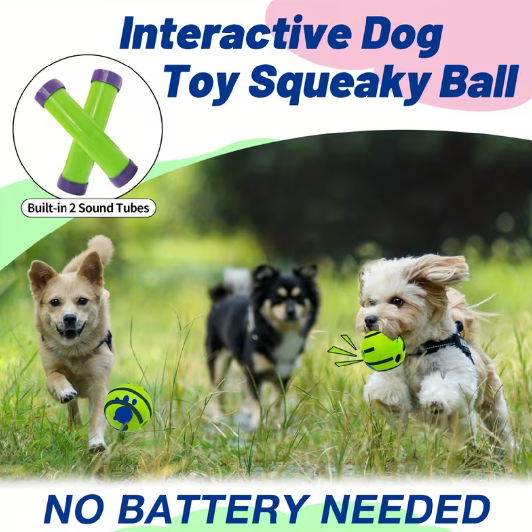 Interactive Dog Voice Ball Toy For IQ Training And Play