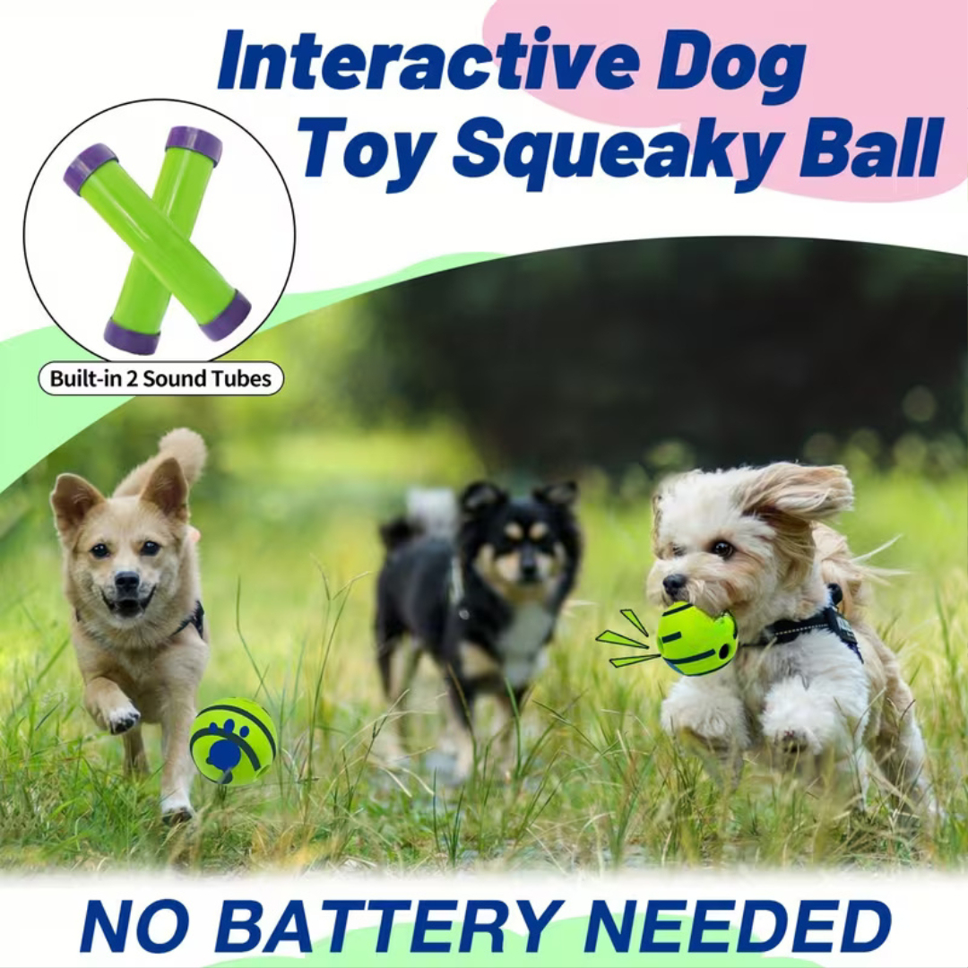 Interactive Dog Voice Ball Toy For IQ Training And Play