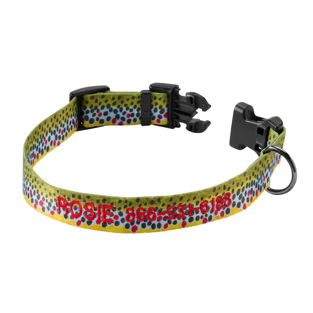 Personalized Side Release Buckle Collar-Paw Print Pad