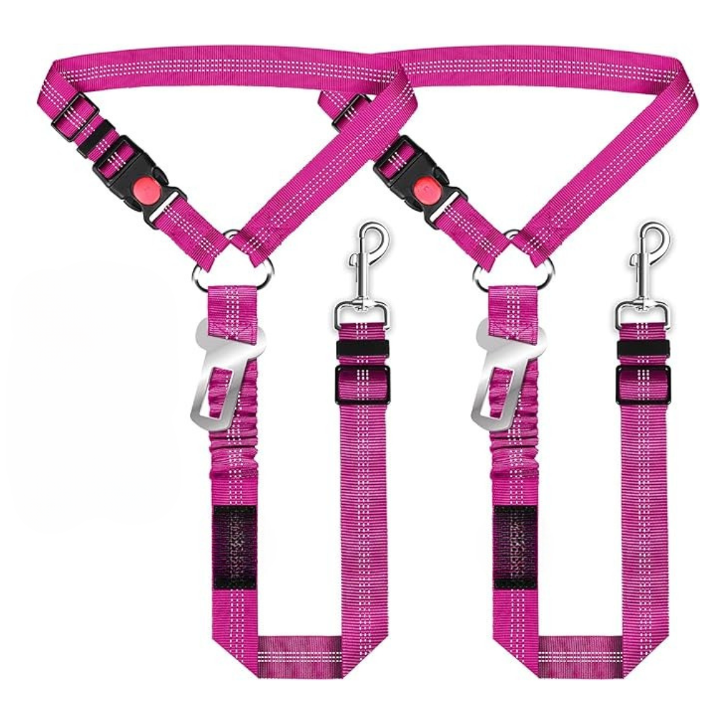 Removable Dog Seat Belt Harness for Car