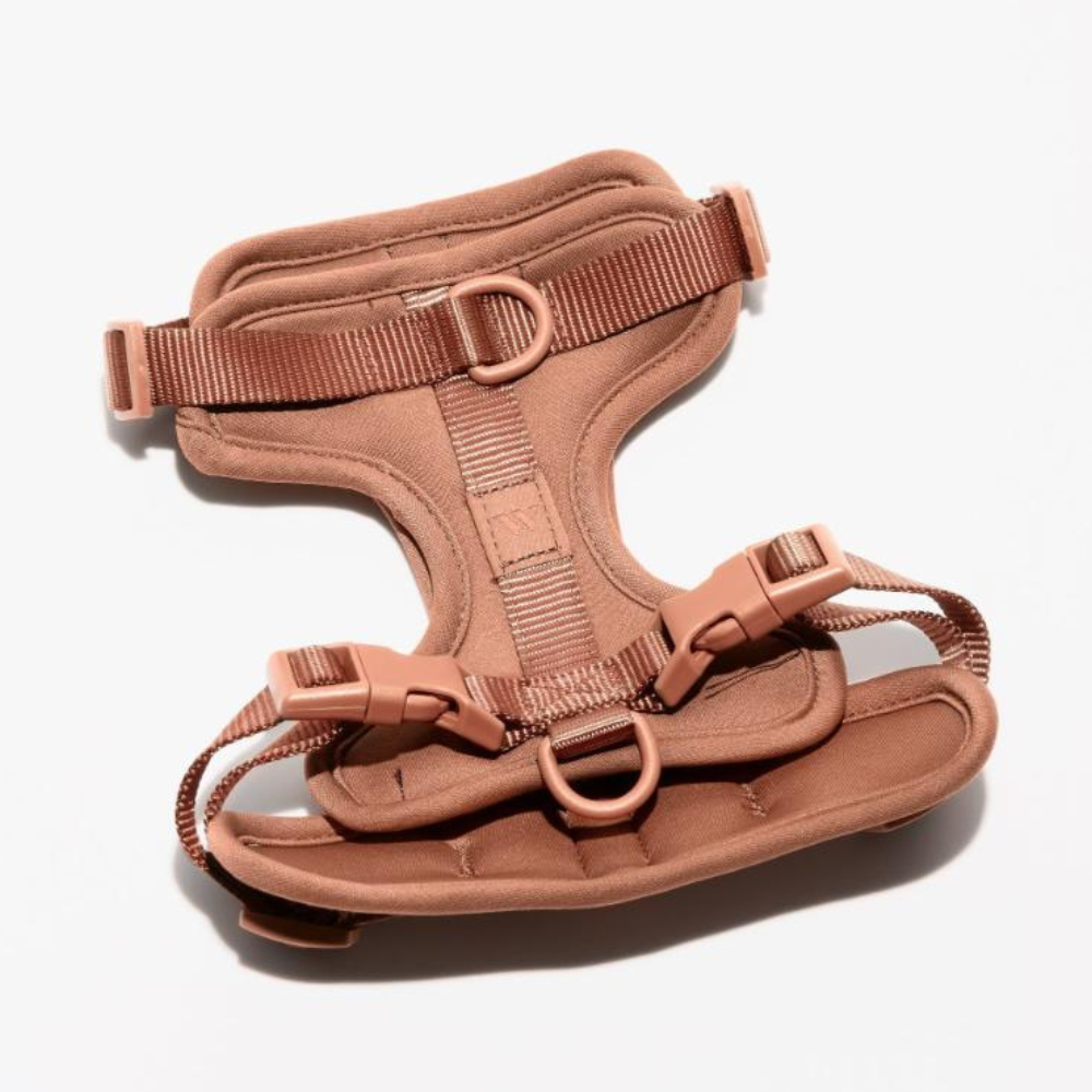 Wild One Dog Harness-Paw Print Pad