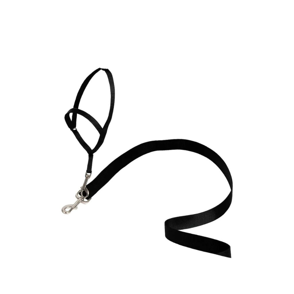 Gentle Leader No Pull Dog Headcollar For Easier Walks