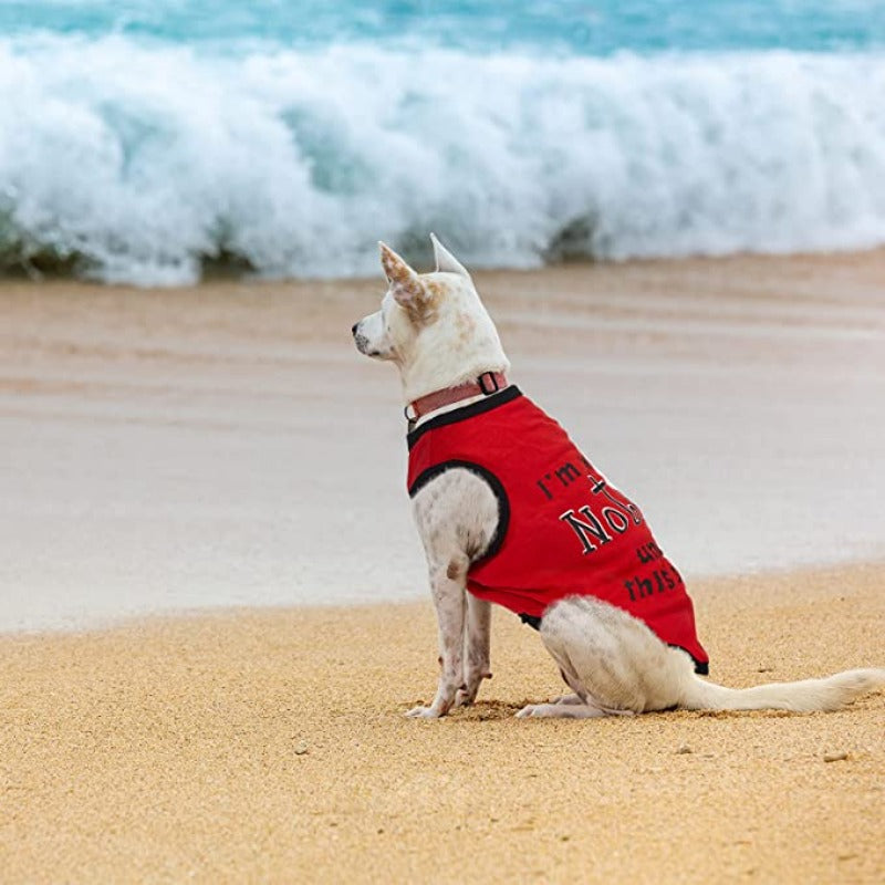 8 Pieces Dog Shirts Printed Clothes With Funny Letters Stylish Outfit