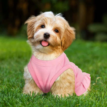 6 Pieces Dog Dresses Dog Shirt Skirt Dog Sleeveless Dress Breathable Pet Shirts with Ruffles Dog Sundress Dog Outfits for Dogs and Cats-Paw Print Pad