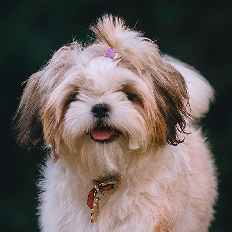 100 Pieces Colorful Puppy Rubber Bands For Small Dogs-Paw Print Pad