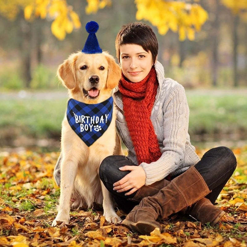 Dog Birthday Party Supplies, Boy Dog Birthday Bandana Scarf And Dog Birthday Hat With Number-Paw Print Pad