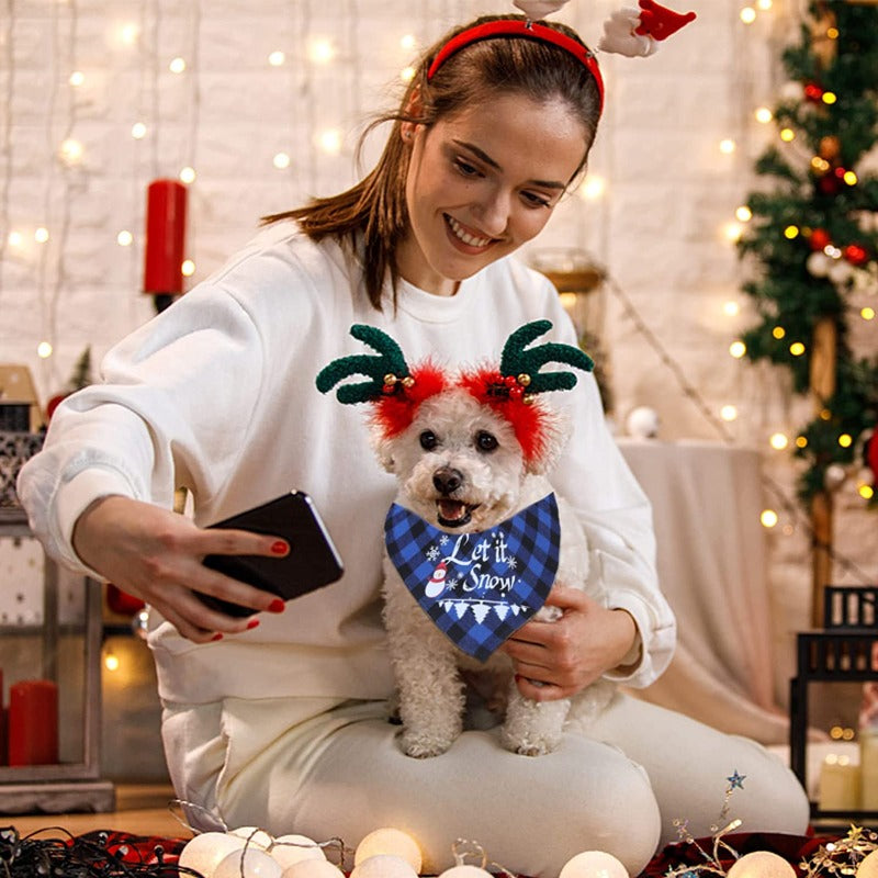 Dogs Birthday Bandanas Set With Birthday Hat-Paw Print Pad
