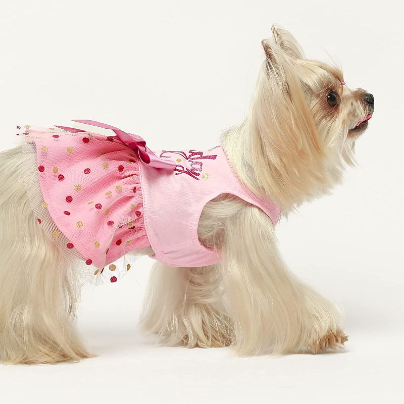 Birthday Girl Dog Tulle Dress, Dog Clothes for Small Dogs Girl, Cat Apparel, Pink, Small-Paw Print Pad