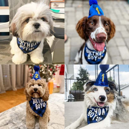 Dog Birthday Party Supplies, Boy Dog Birthday Bandana Scarf And Dog Birthday Hat With Number-Paw Print Pad