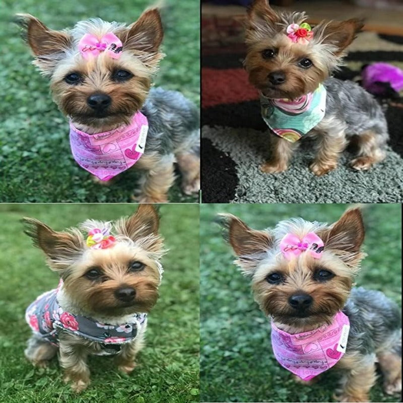 50pcs in Pairs Dog Hair Bows With Rubber Bands Rhinestone Pearls Bows Bowknot Bows Dog Topknot Bows Dog Hair-Paw Print Pad