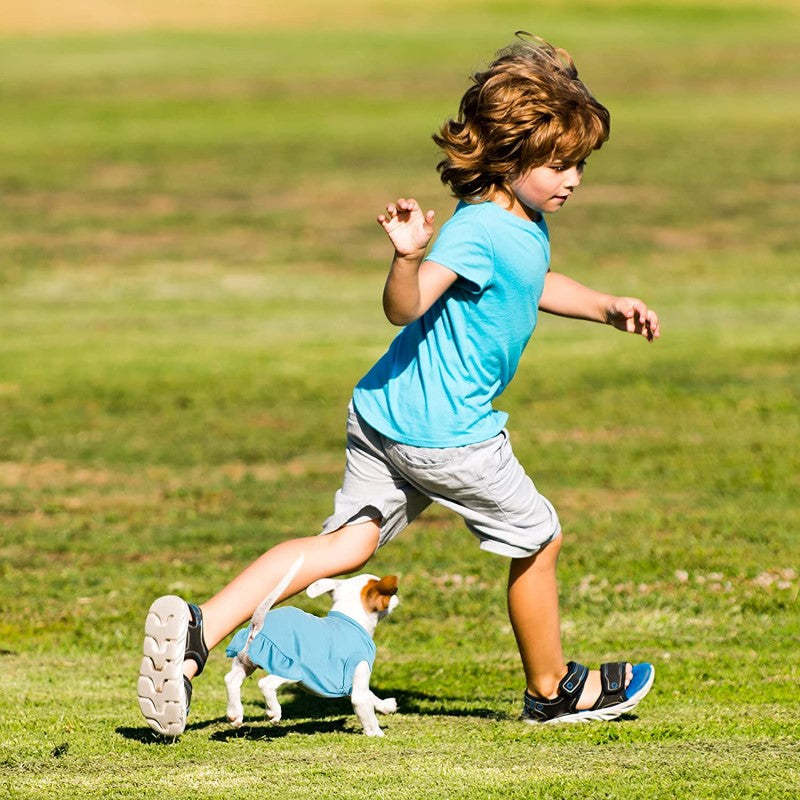 6 Pieces Dog Dresses Dog Shirt Skirt Dog Sleeveless Dress Breathable Pet Shirts with Ruffles Dog Sundress Dog Outfits for Dogs and Cats-Paw Print Pad