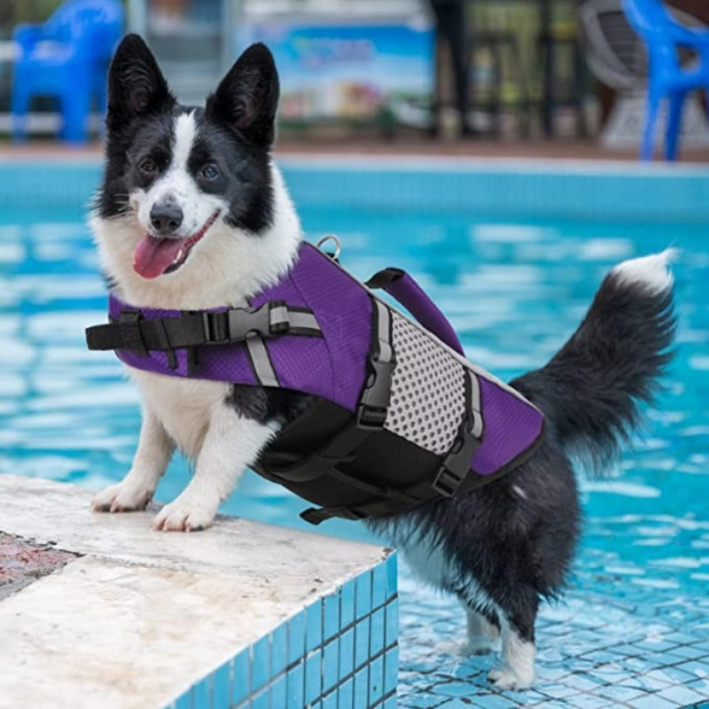 Dog Life Jacket Swimming Vest Lightweight High Reflective Pet Lifesaver With Lift Handle, Leash Ring Blue, XS-Paw Print Pad