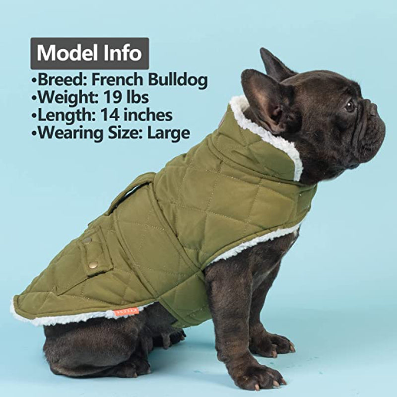 Dog Cold Weather Coats Cozy Windproof Padded Sherpa Warm Dog Green Jacket For Small Dogs With Furry Collar Dog Apparel-Paw Print Pad