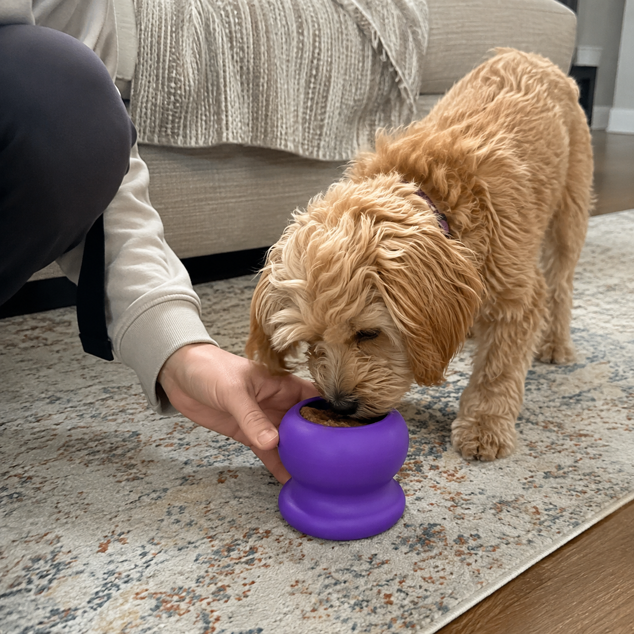 Fillable Dog Chew Bone Toy