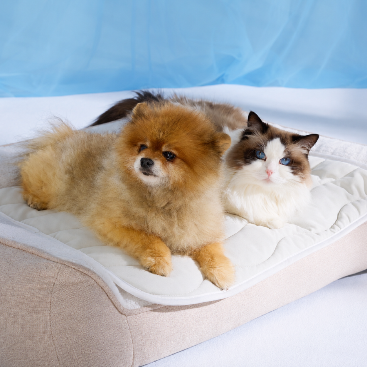 Dog Cooling Mat With Non Slip Bottom For Summer Comfort
