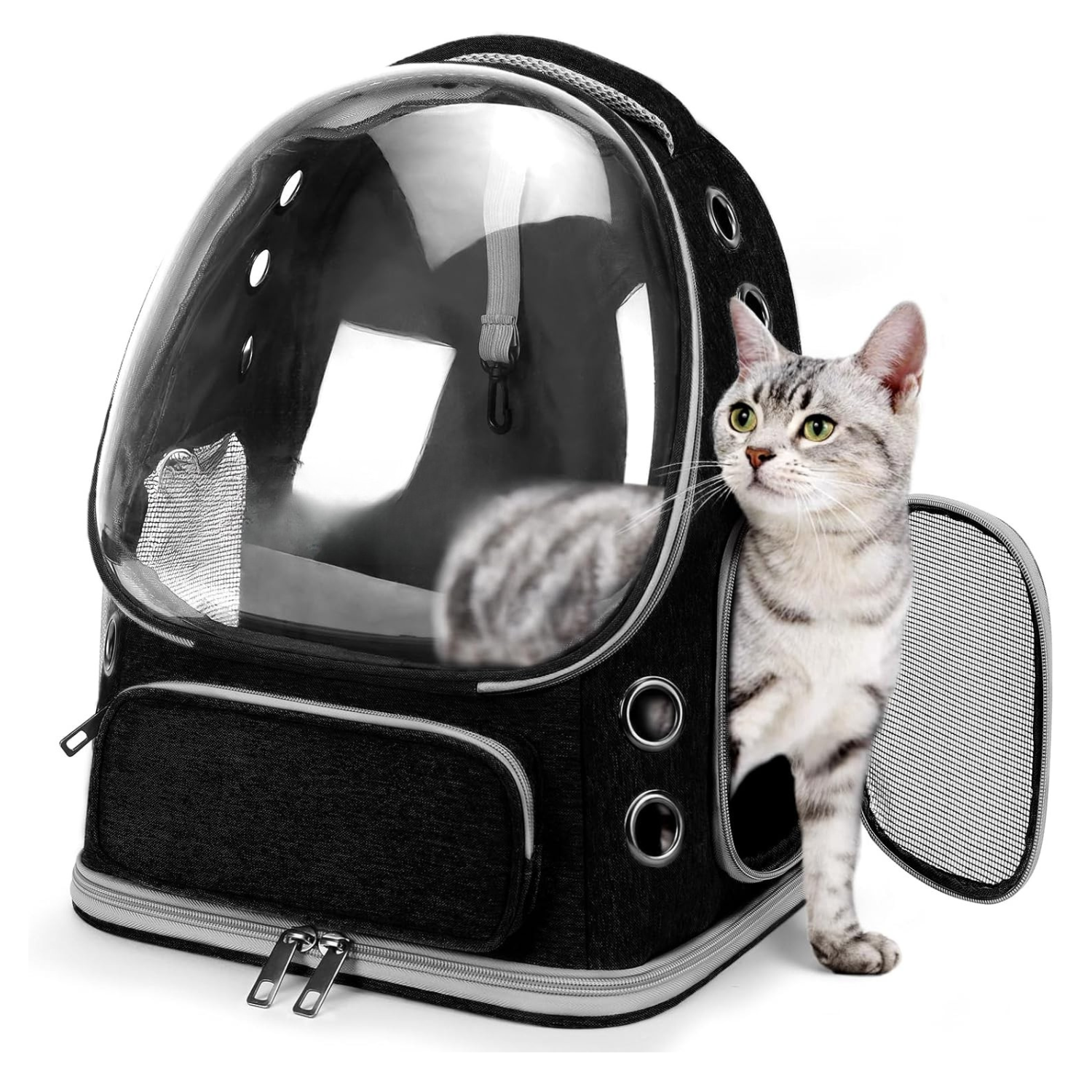 Expandable Bubble Travel Carrier Backpack for Cats And Dogs