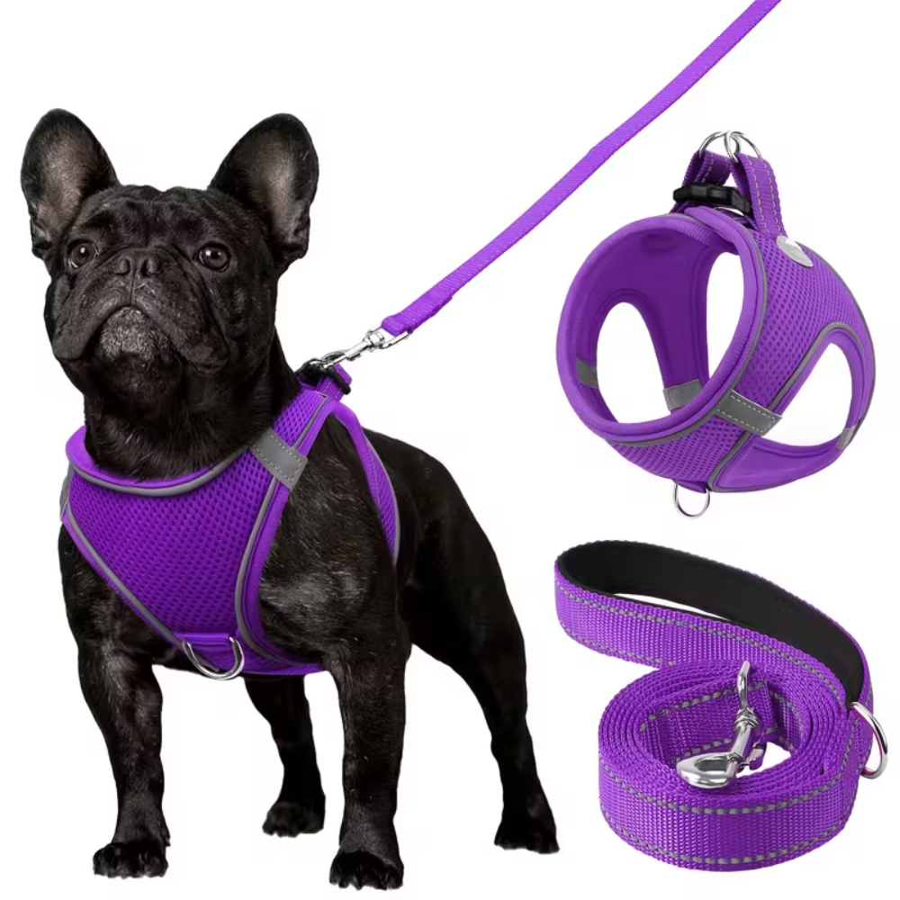 Adjustable Dog Harness With Leash Set And Reflective Trim