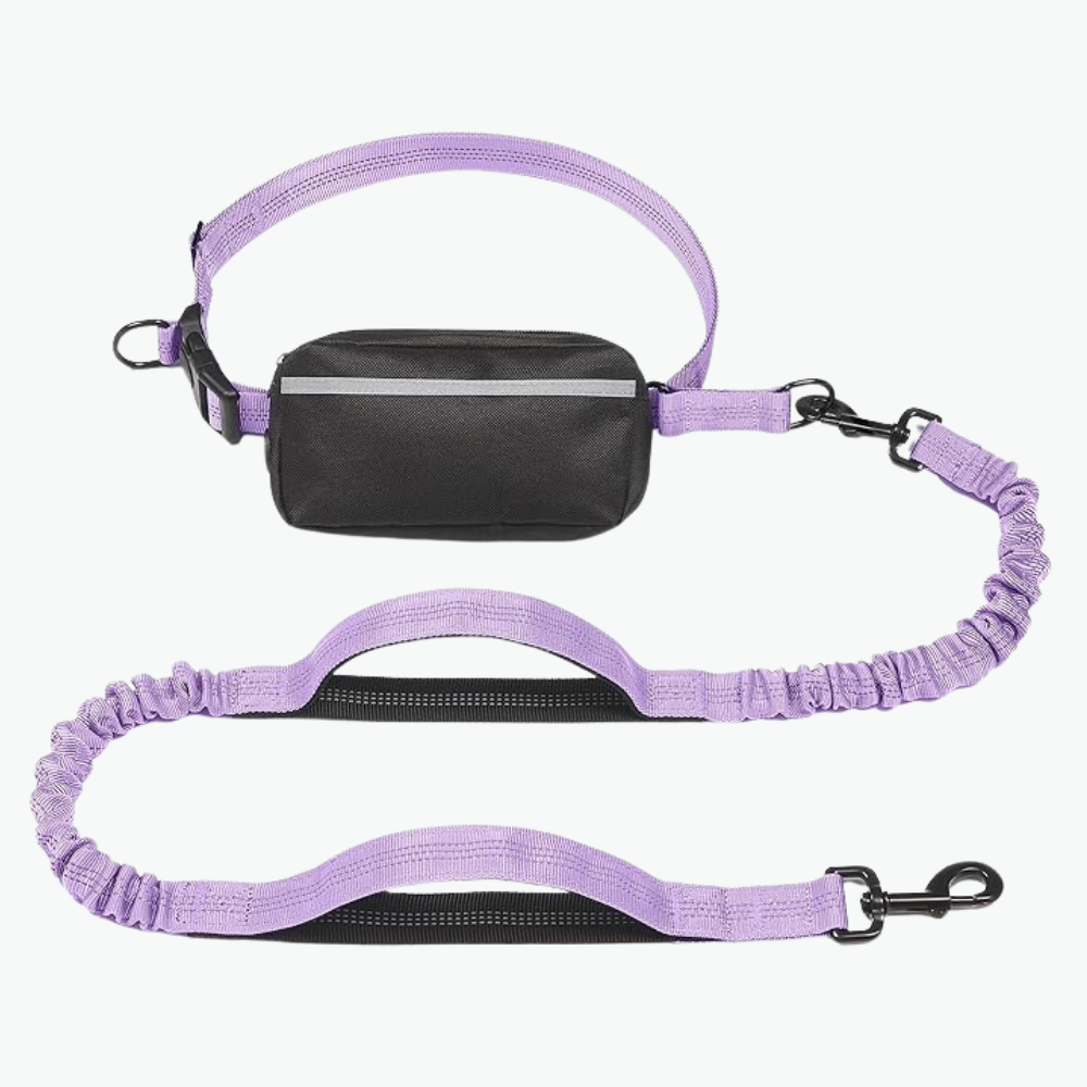Hands Free Dog Leash With Zipper Pouch