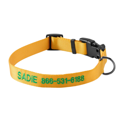 Personalized Side Release Buckle Collar-Paw Print Pad