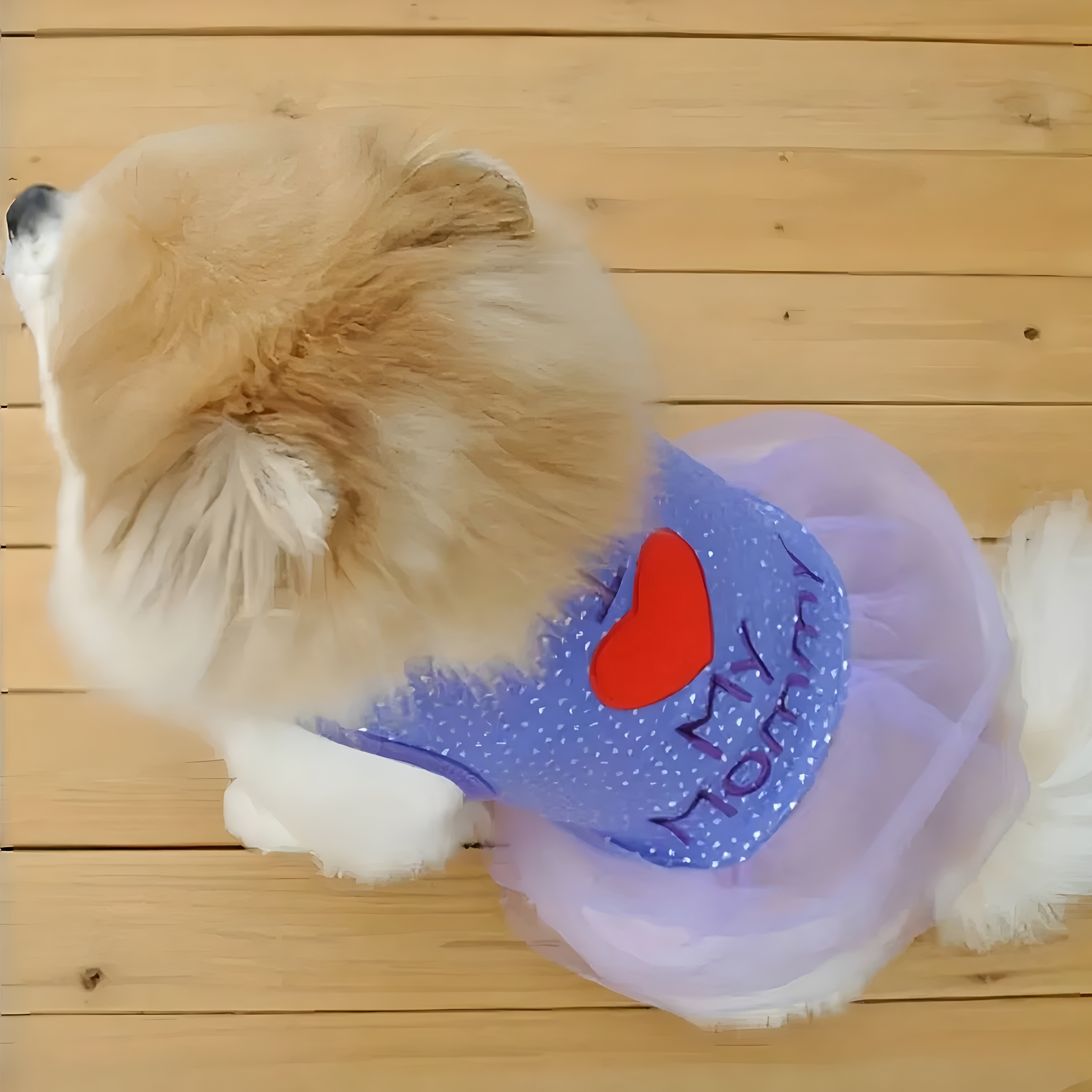 4pcs Pet Clothes Cat/Dog Summer Mesh Dress, Star & Heart Pattern Design, Soft & Breathable Polyester Pet Skirt