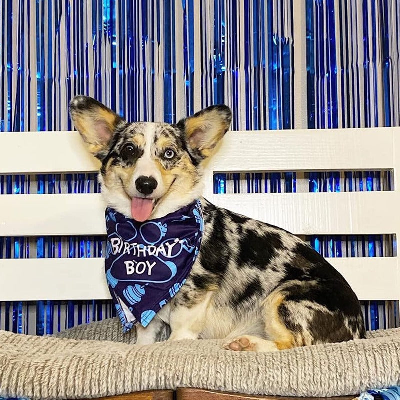 Dog Birthday Bandana, Dog Birthday Boy Hat Scarfs Flag Balloon With Cute-Doggie Birthday Party Supplies Decorations (11-Piece Set)-Paw Print Pad