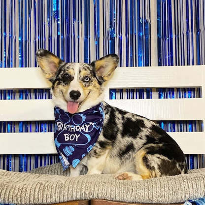 Dog Birthday Bandana, Dog Birthday Boy Hat Scarfs Flag Balloon With Cute-Doggie Birthday Party Supplies Decorations (11-Piece Set)-Paw Print Pad