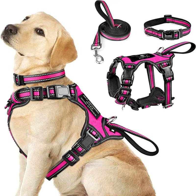 Pet Harness Collar And Leash Set, All-In-One Reflective Dog Harness No Pull With Adjustable Buckles For Puppies-Paw Print Pad