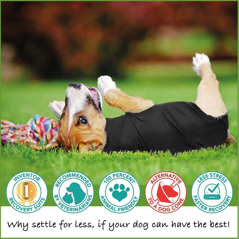 Suitical Original Recovery Suit - Breathable Full Body Shirt, Professional Alternative To Dog Cone-Paw Print Pad