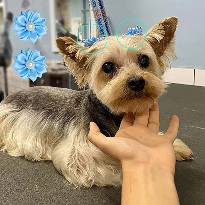 40PCS (20Pairs) Dog Hair Bows With Rubber Bands Pearls Flowers Topknot Dog Bows Pet Grooming Products 20 Colors-Paw Print Pad