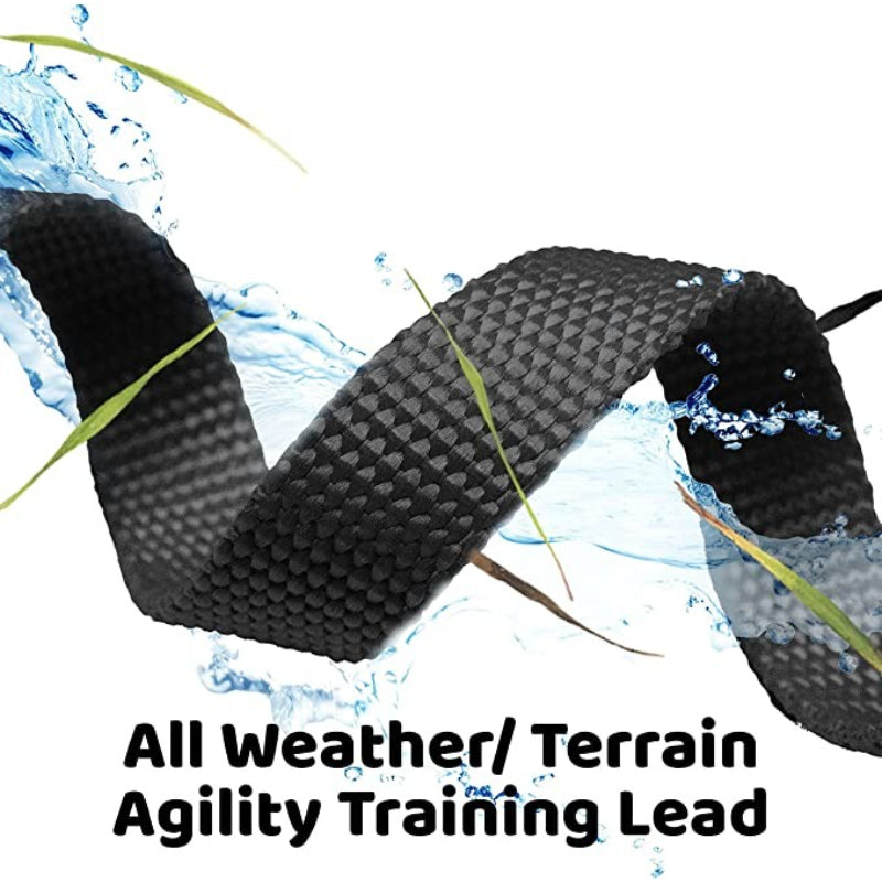 Long Dog Leash - Dog Training Leash - Recall & Obedience Dog Training Tools - Nylon - 50 ft-Paw Print Pad