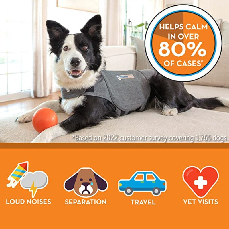 Classic Dog Jacket-Paw Print Pad