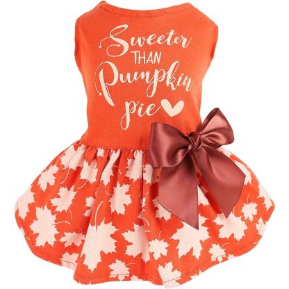 Thanksgiving Sweeter Than Pumpkin Pie Dog Dress One-Piece Outfits-Paw Print Pad