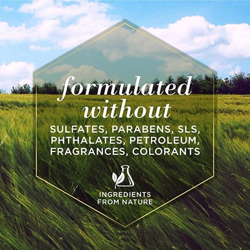 Dogs Natural Paw & Nose Lotion With Rosemary & Olive Oil-Paw Print Pad