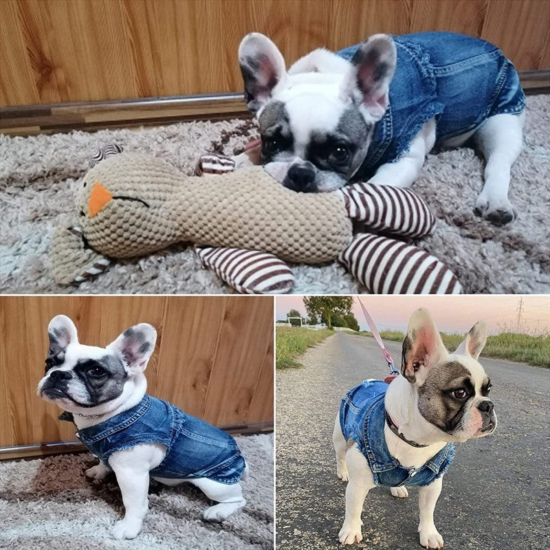 Dog Jean Jacket With Blue Denim Lapel Vest Coat-Paw Print Pad