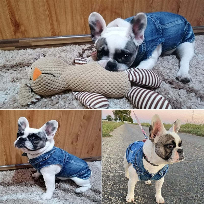 Dog Jean Jacket With Blue Denim Lapel Vest Coat-Paw Print Pad
