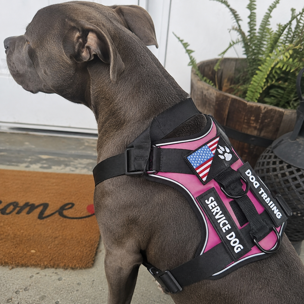 Adjustable Waterproof Soft Dog Harness With Reflective Vest 