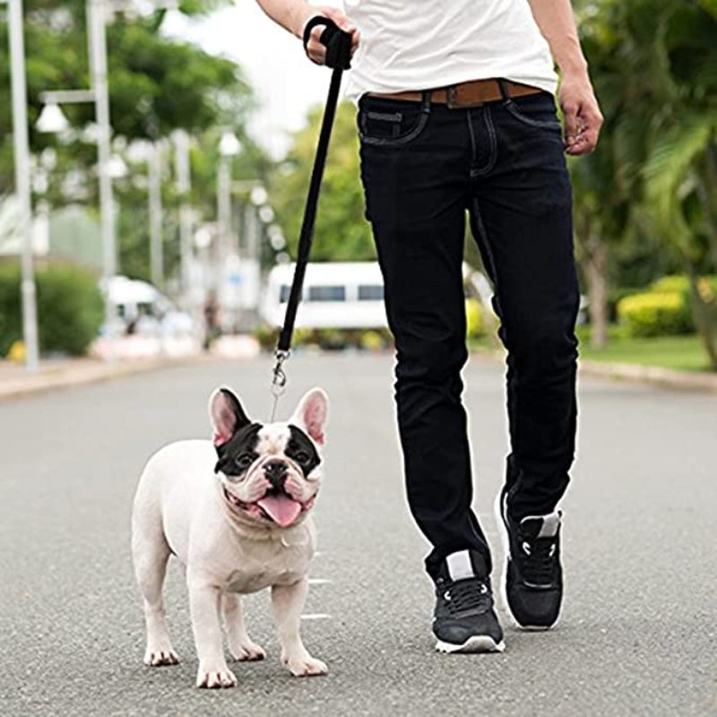 Long Dog Leash - Dog Training Leash - Recall & Obedience Dog Training Tools - Nylon - 50 ft-Paw Print Pad