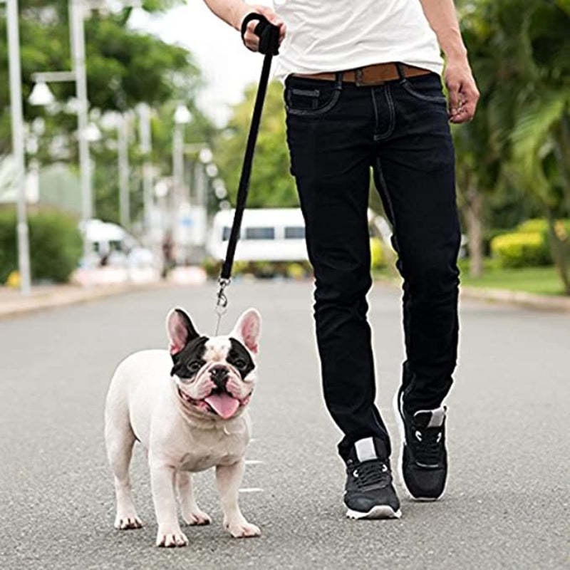 Long Dog Leash - Dog Training Leash - Recall & Obedience Dog Training Tools - Nylon - 50 ft-Paw Print Pad