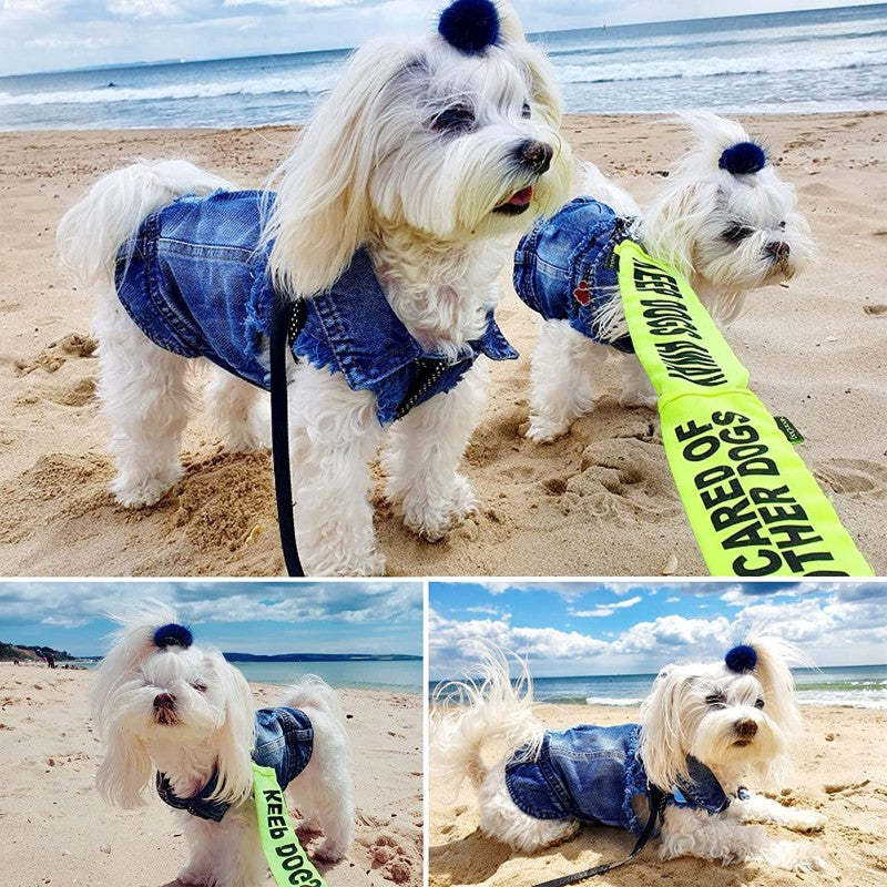 Dog Jean Jacket With Blue Denim Lapel Vest Coat-Paw Print Pad