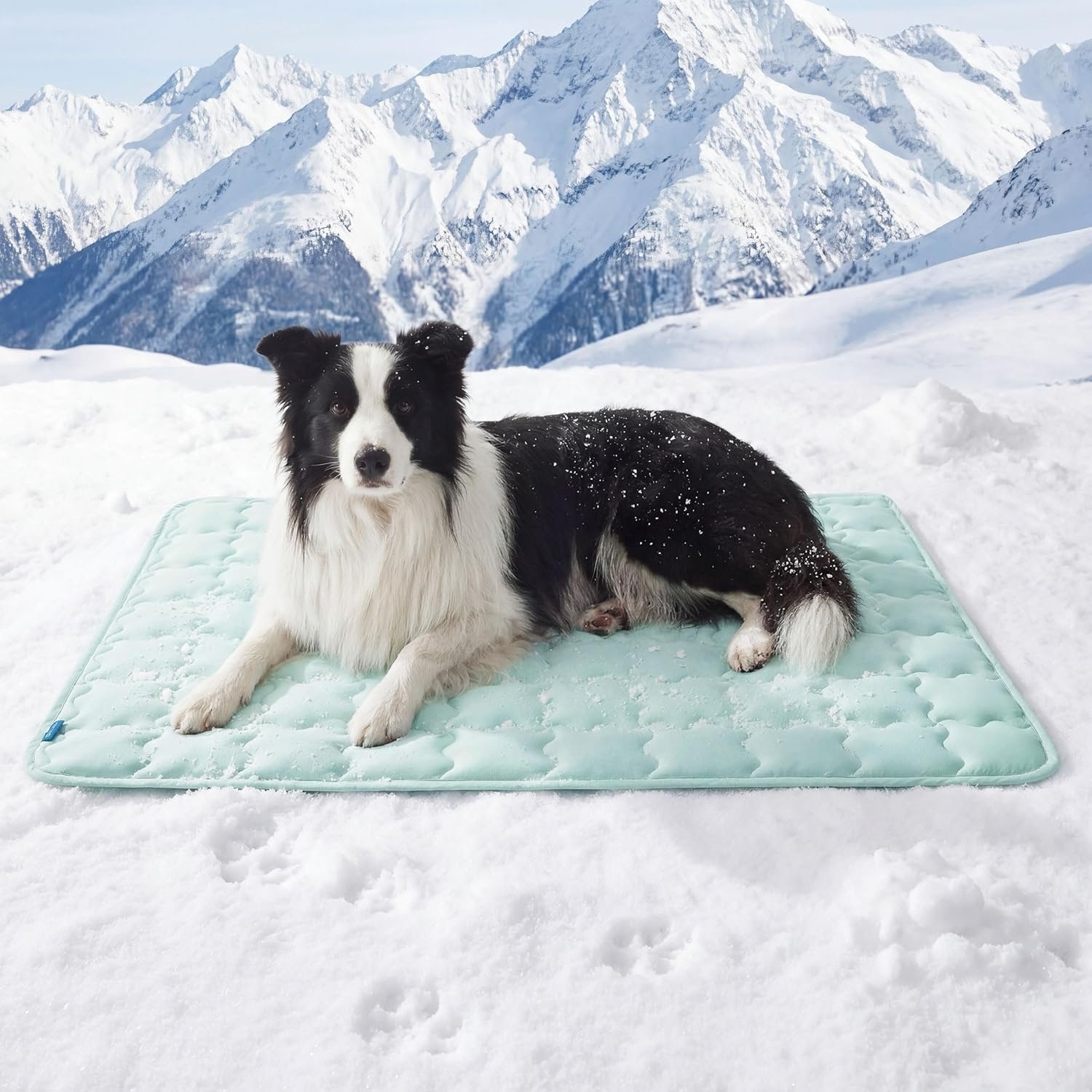 Extra Large Cooling Dog Mat for Summer Comfort