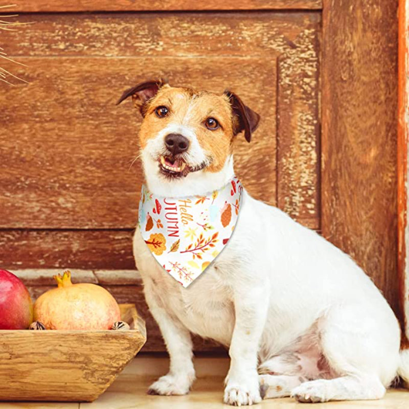 Dog Bandana Scarf Accessory For Easter Spring Summer-Paw Print Pad